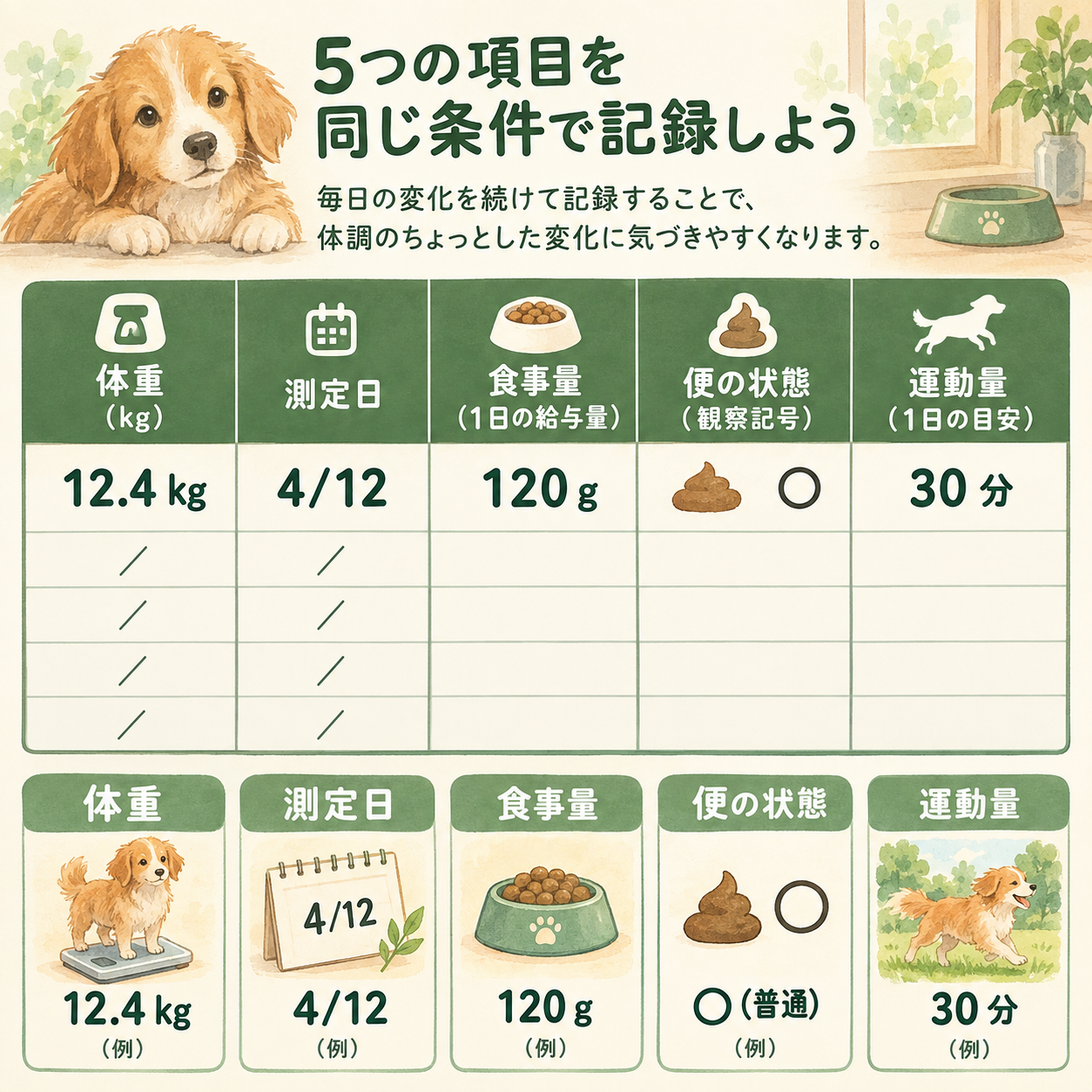 セントバーナードの成長記録用テンプレート。測定日・体重・1日の食事量・便の状態・運動量を月ごとに記入する表型フォーム