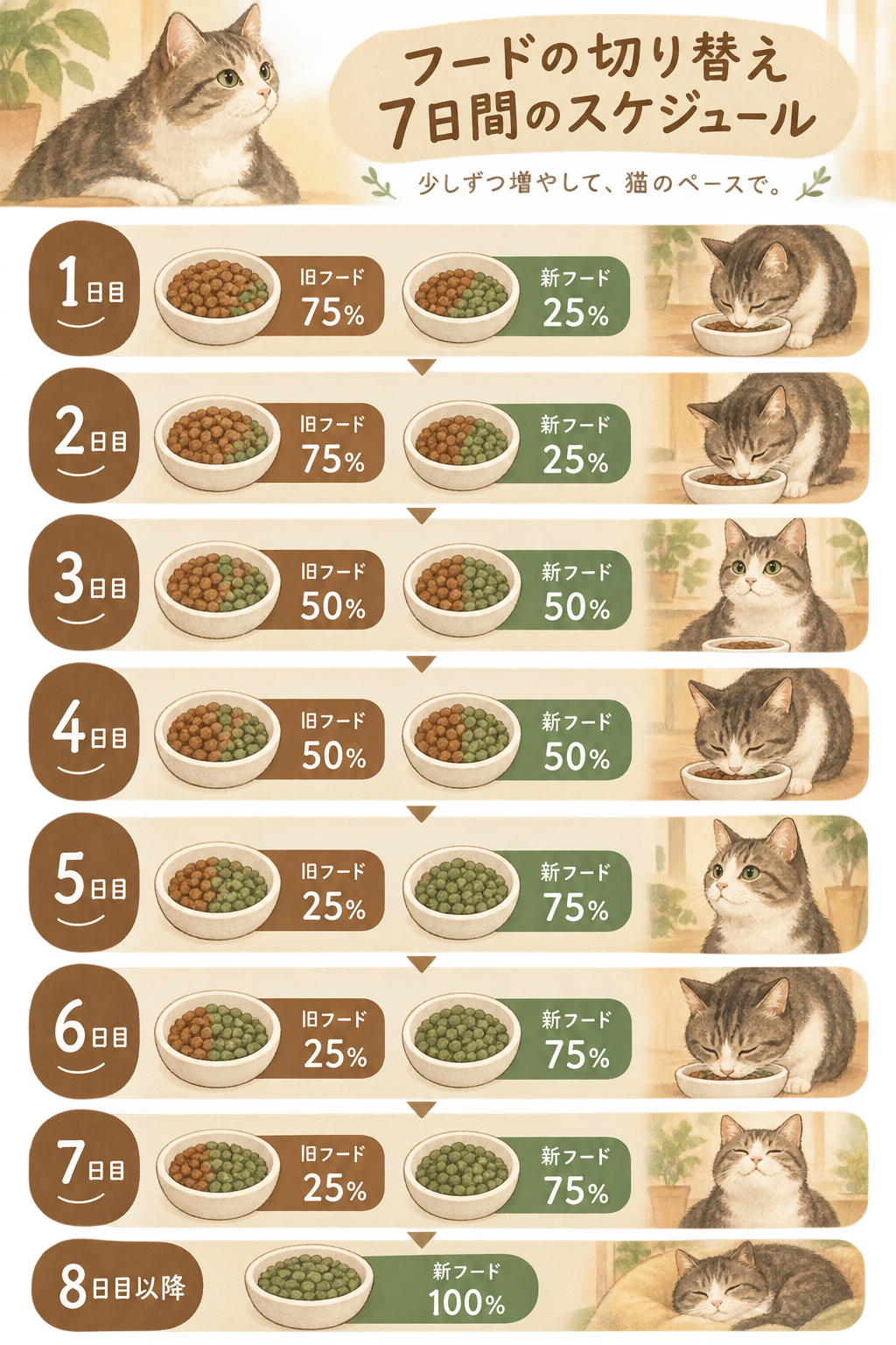 フード切り替えの7日間スケジュール図。日を重ねるごとに新フード（例：緑）の割合が増し、旧フード（例：茶色）が減っていく段階を色分けした積み上げ図で表示。スマホは上から下へスクロールして確認できる縦型。