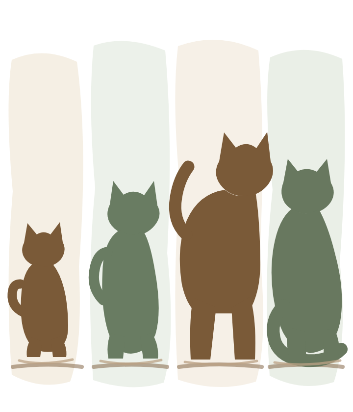 離乳期から高齢猫期までの4つの成長段階のイメージ