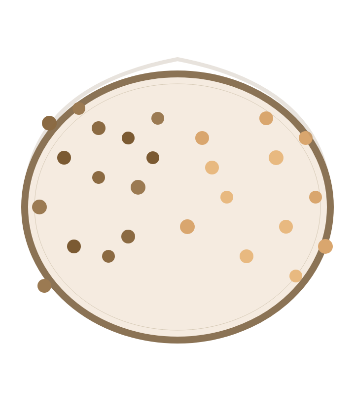 2種類のドッグフードが混ざったフードボウル