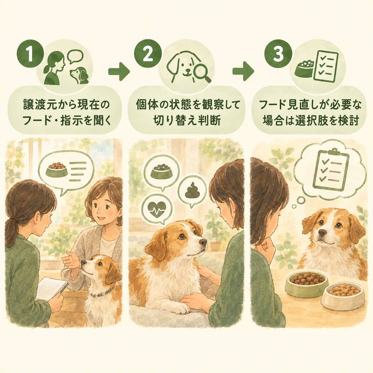 食事選択の3ステップフロー。譲渡元から現在のフードと指示を聞く→個体の状態を観察して判断→必要に応じてフード見直し