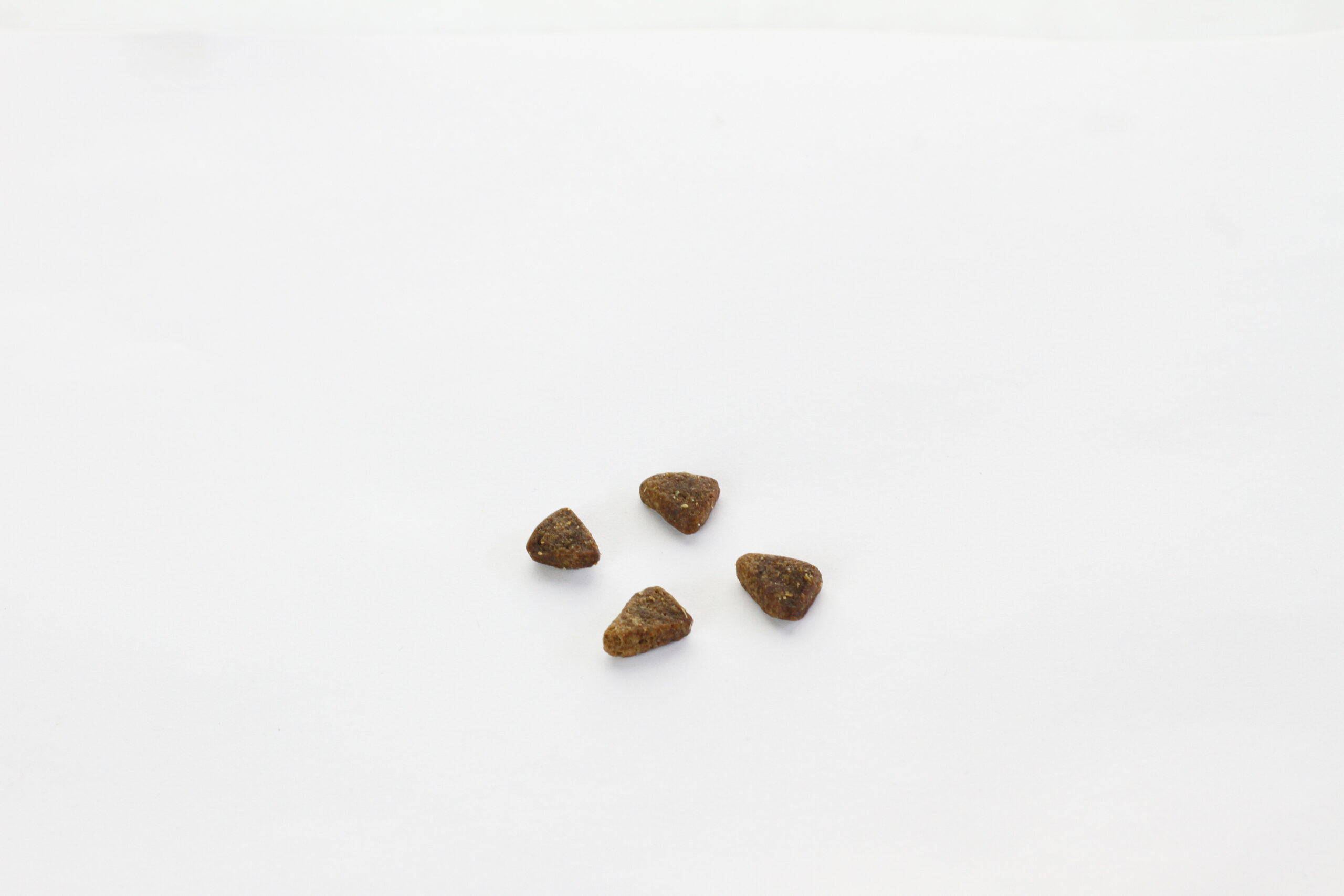 ネルソンズドッグフード 粒サイズの比較