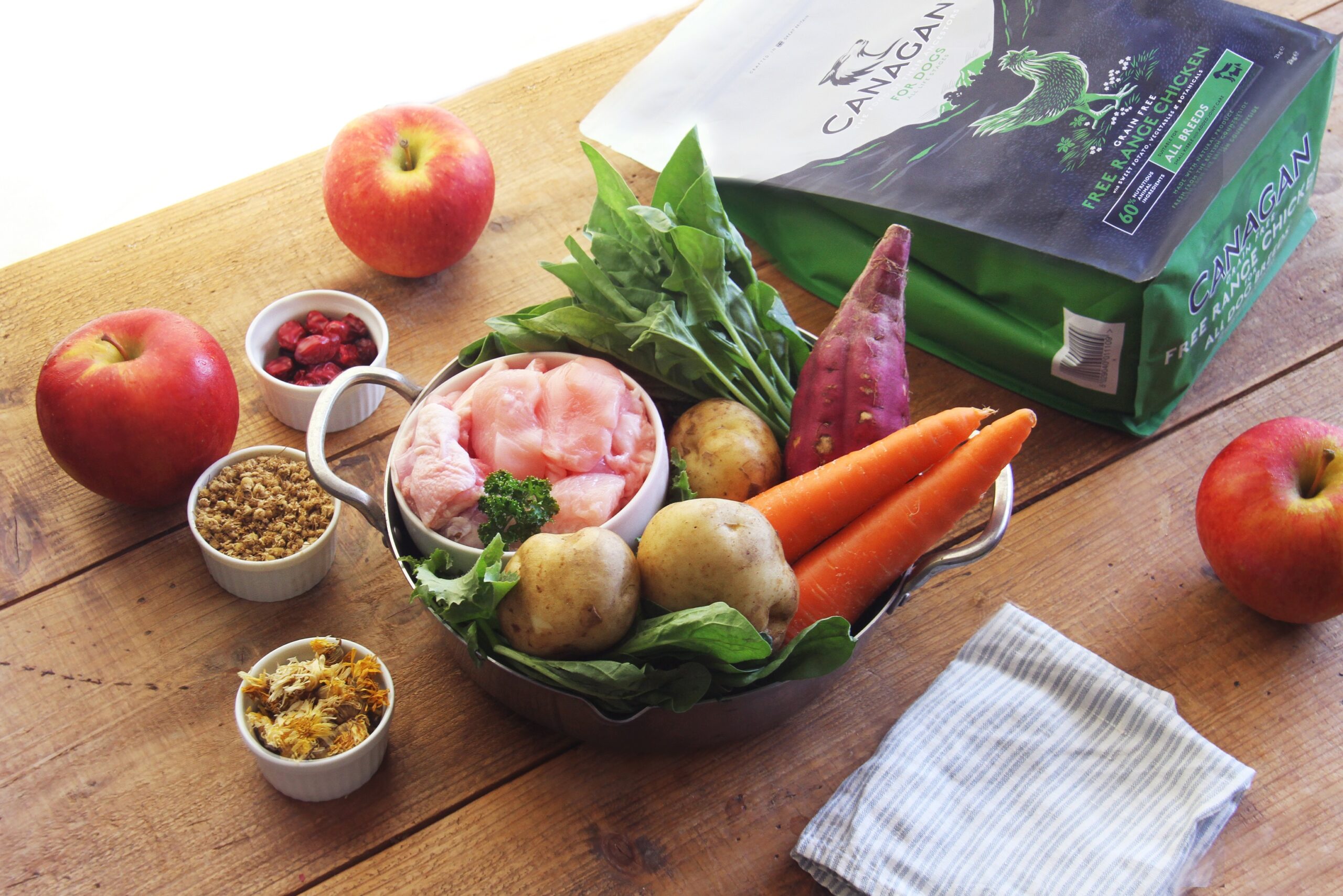 カナガンドッグフード お皿に盛り付けた写真