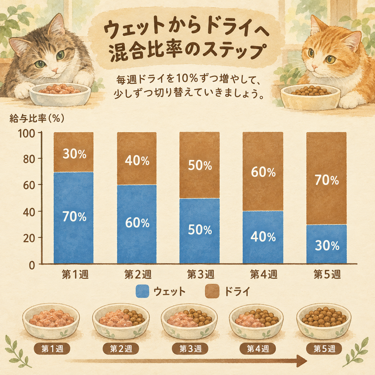 ウェットフードからドライフードへの段階的切り替え5週間プラン。第1週:ウェット70%・ドライ30%、第2週:ウェット60%・ドライ40%、第3週:ウェット40%・ドライ60%、第4週:ウェット20%・ドライ80%、第5週:ウェット0~10%・ドライ90~100%。積み上げ棒グラフで各週の混合比率を視覚化。